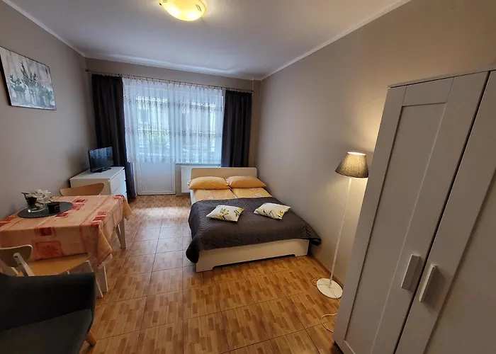 Goscinne Parkowa 1 Władysławowo